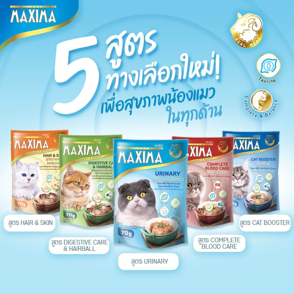 อาหารเปียกแมว แม็กซีม่า สูตรฟื้นฟู 70 กรัม